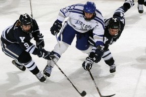 九游娱乐APP-篮网举行社区公益日，球员参与街头篮球教学，nba篮网社区