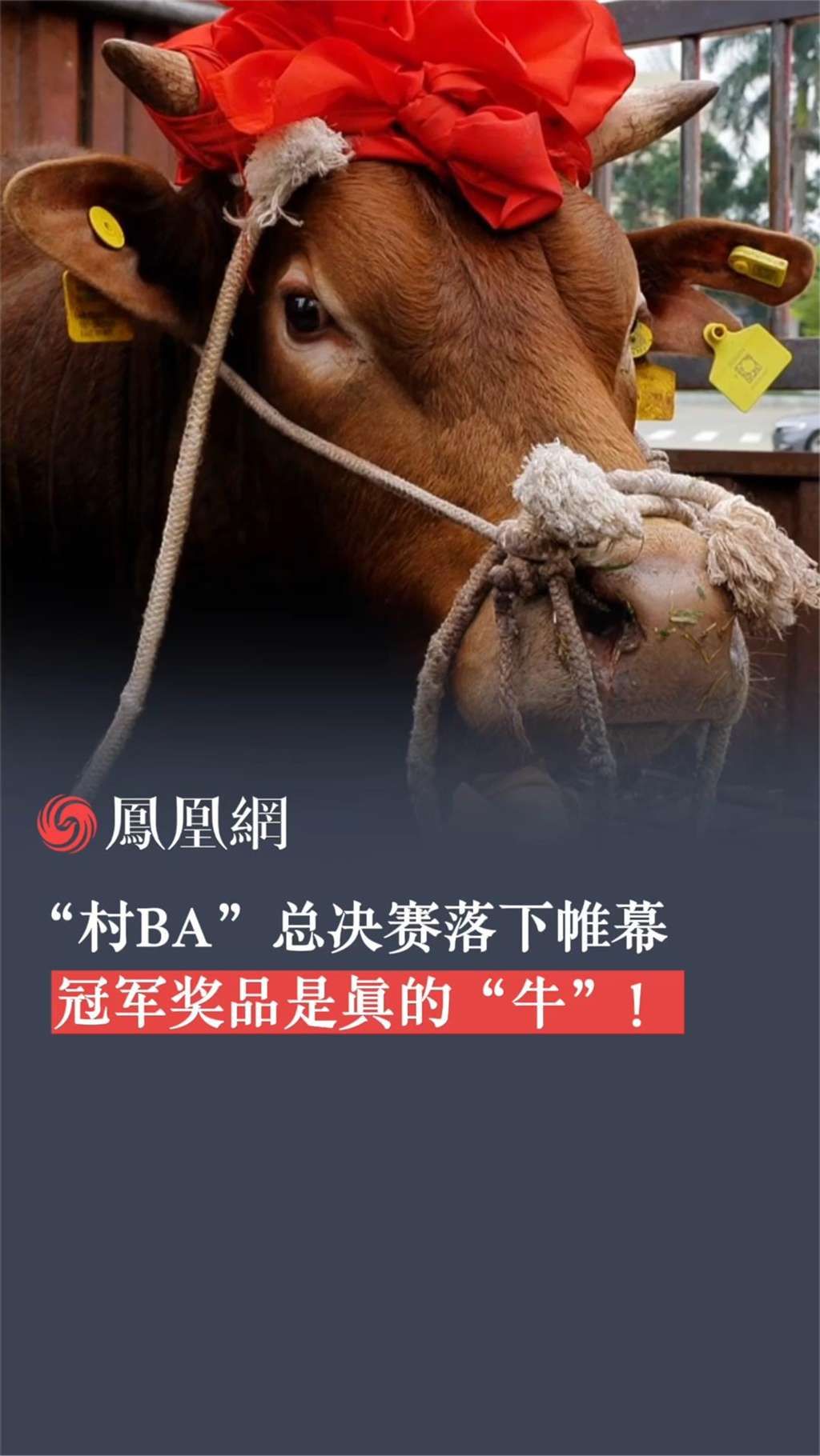 赛事奖品丰富：吸引更多运动员参与