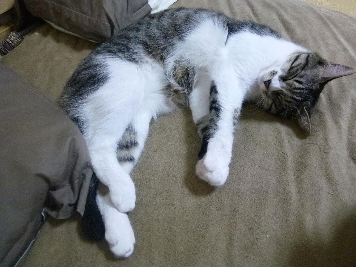 _全景水上漂流：探索水域中的奇幻世界_，水上游览