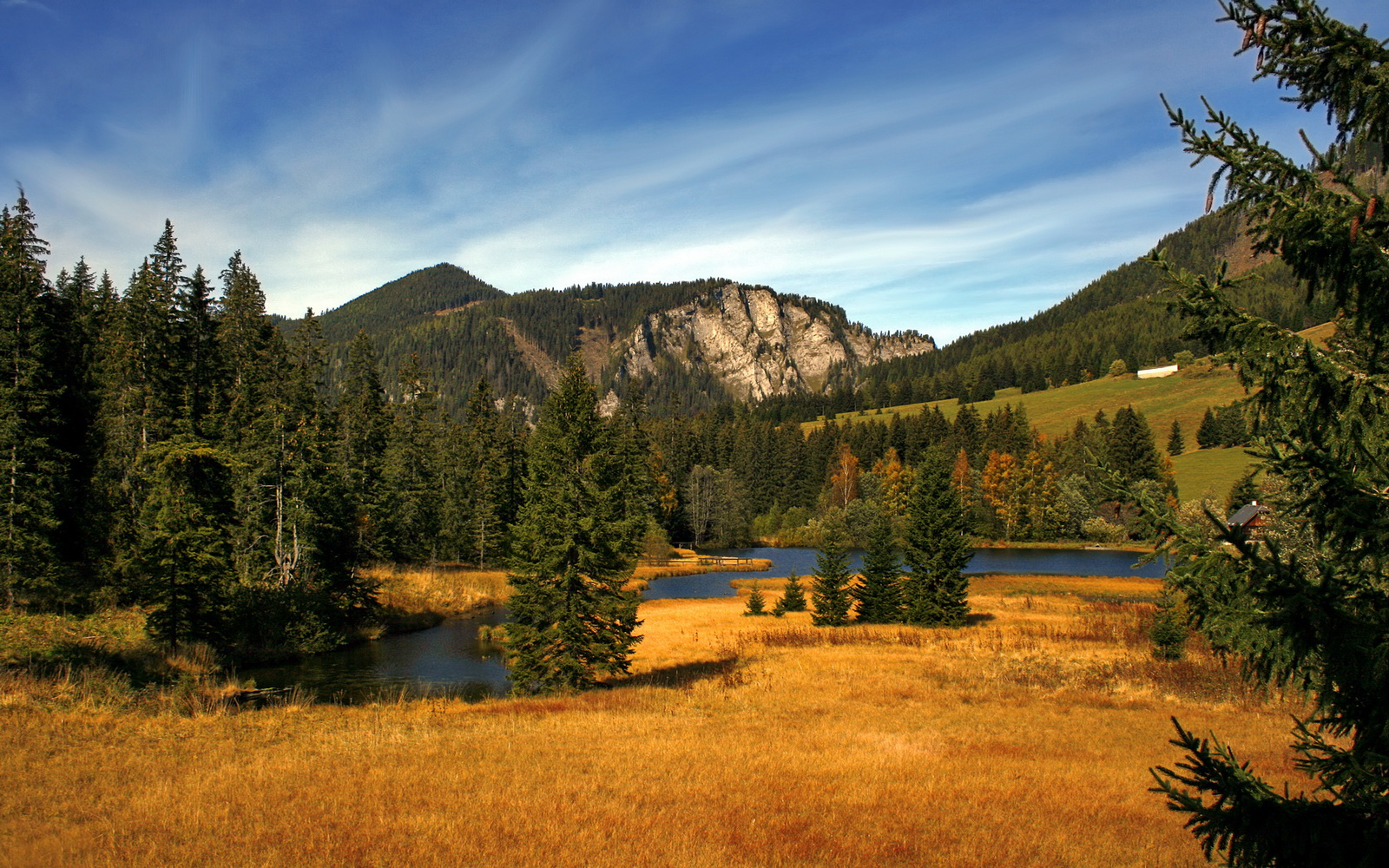 Jiu You-《电竞选手的心理备战：如何应对压力与焦虑》，电竞选手心理疏导的方法