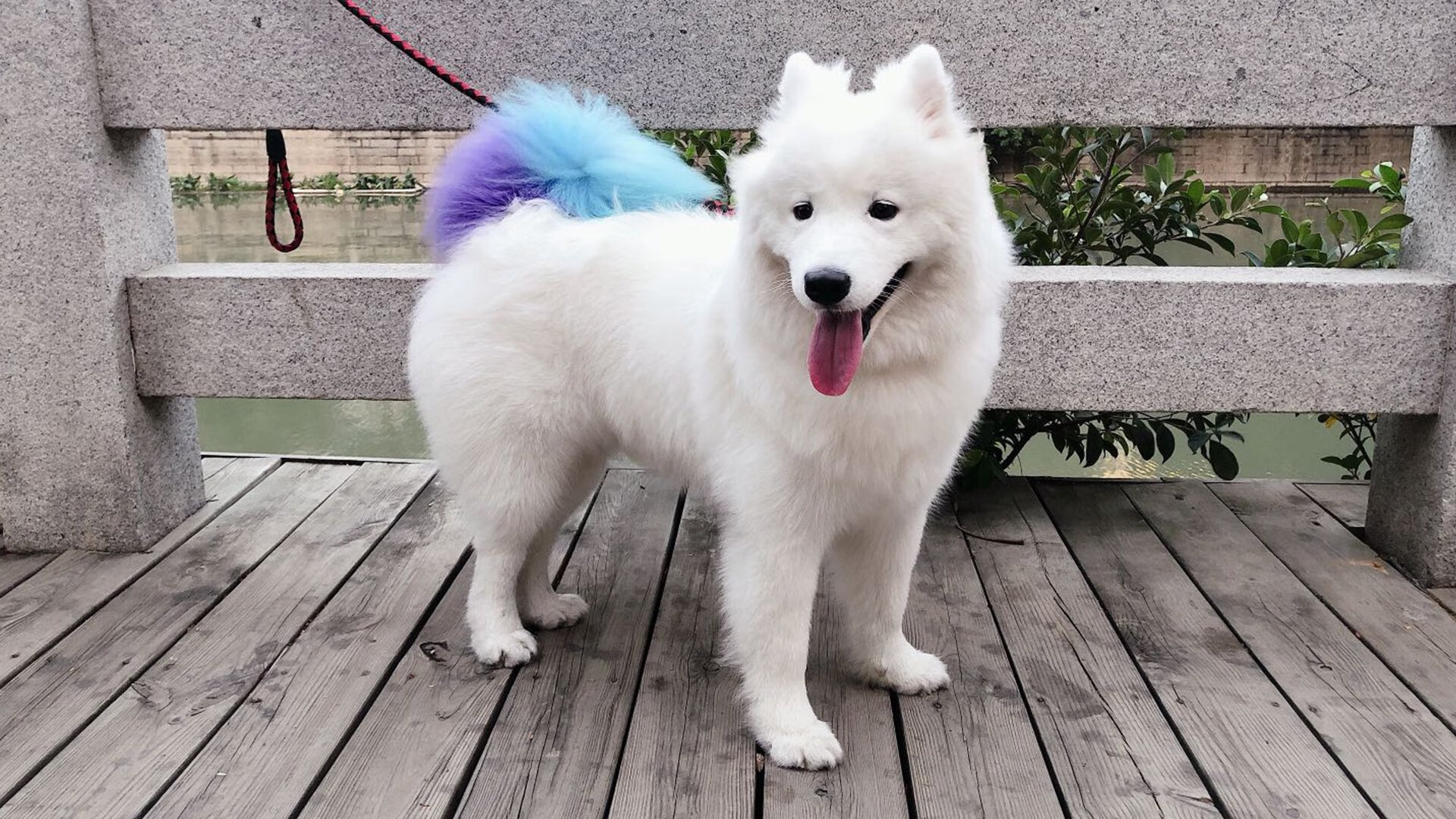 九游游戏中心官网-克罗地亚队在巴黎奥运会手球比赛中以30_29战胜日本队，克罗地亚 队