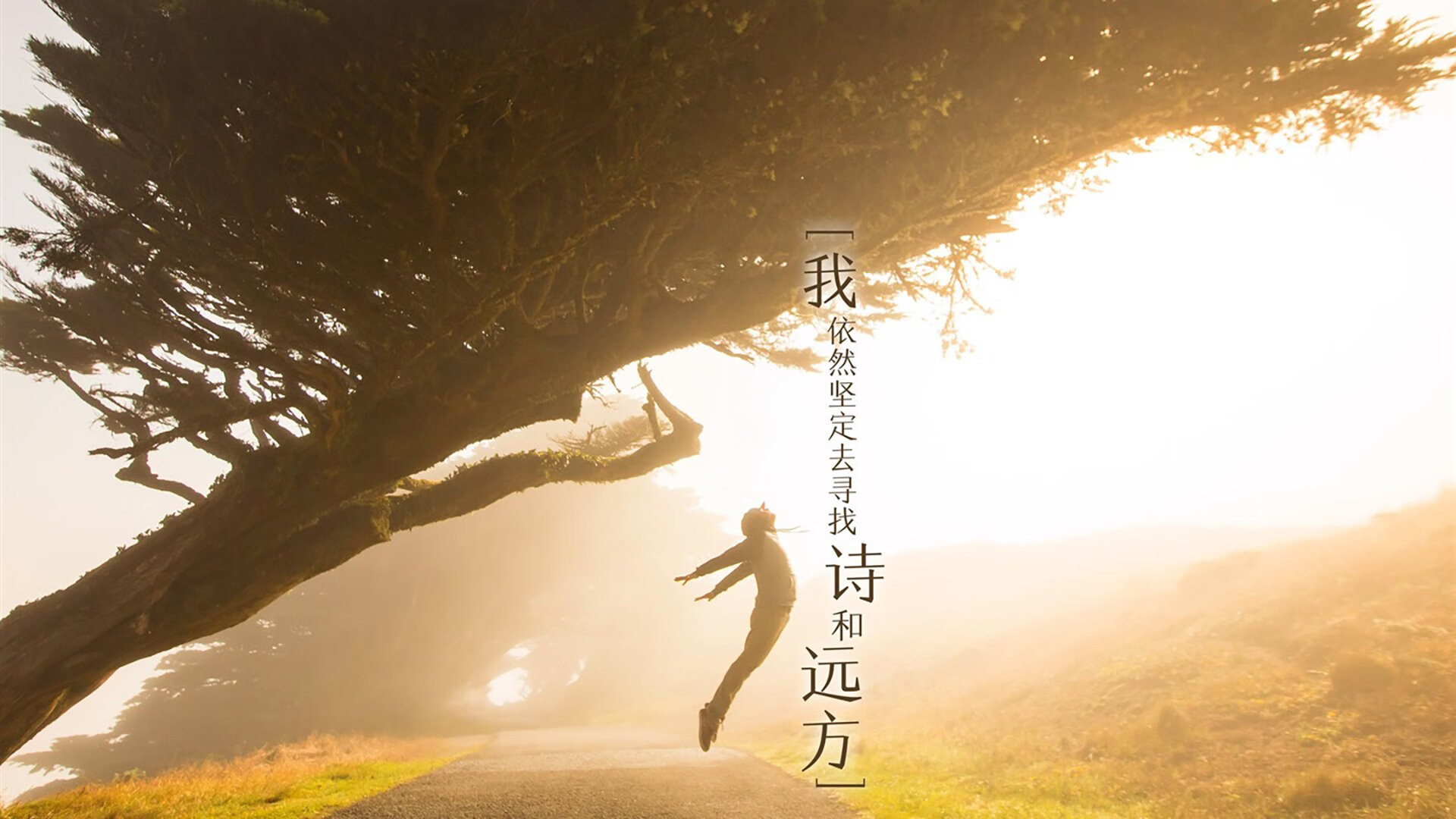 九游网页版官网-法国橄榄球队在主场表现出色，获得季军，法国top14橄榄球联赛