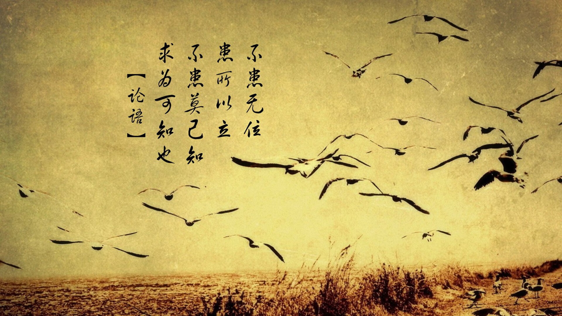 九游（jiuyou.com）游戏-球场“固若金汤”的防守典范：不可逾越的后卫线，得分后卫防守站位