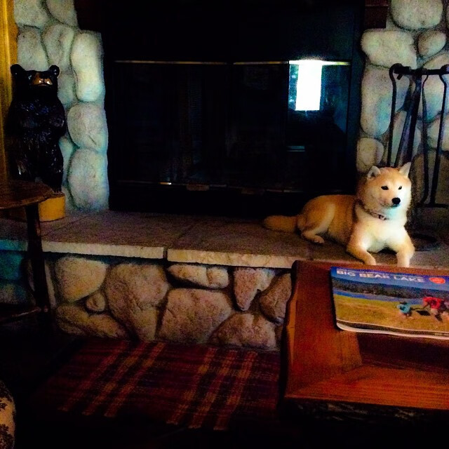 凯撒酋长防线表现稳固,连续保持零封纪录,凯撒强不强