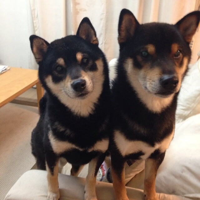 凯撒酋长青训球员升入一线队，展现潜力，凯撒king