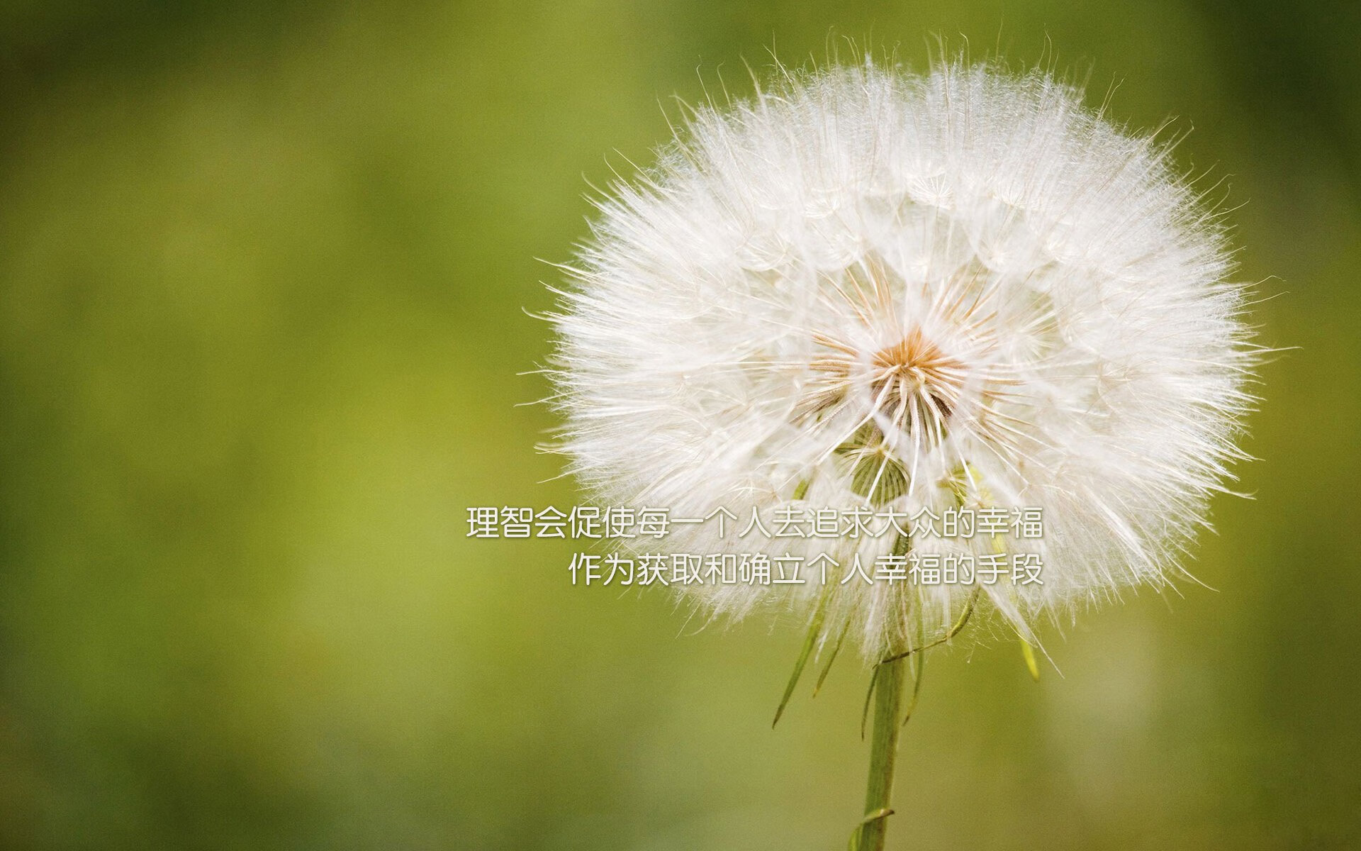 凯撒酋长青训球员升入一线队，展现潜力，凯撒酋长球衣