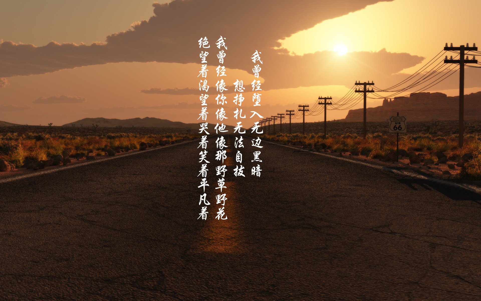 Jiuyou-德国马术协会推出马术运动员职业发展规划，促进人才培养。，德国马协考级