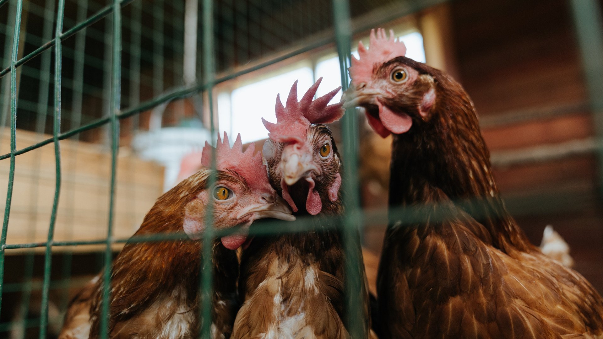 知名战队组建堡垒之夜分部,堡垒之夜战队排名