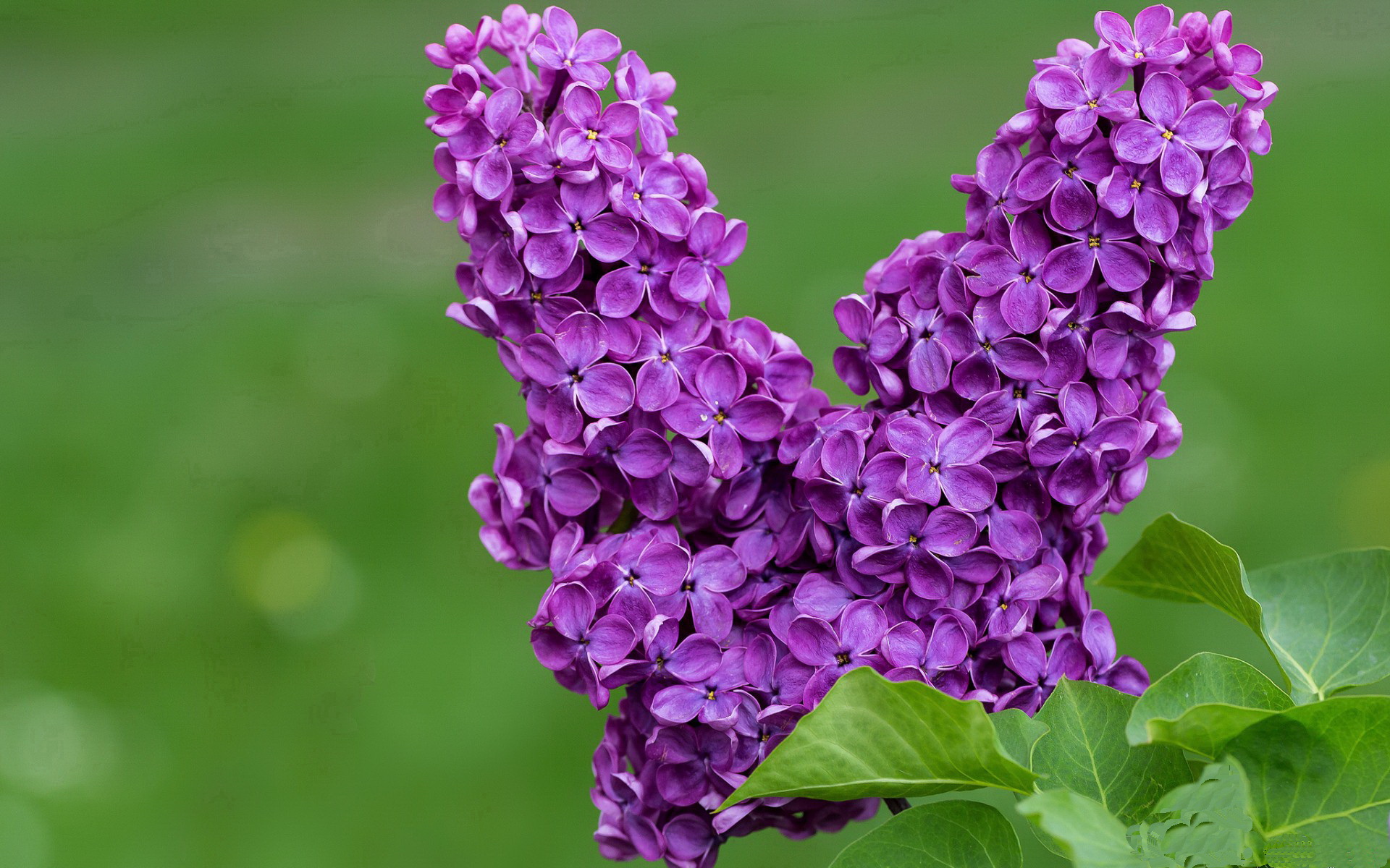 主教练临场指挥干预是否比赛前战术布置更重要，教练员赛场指挥的原则