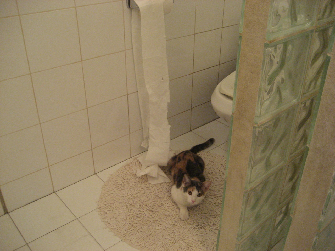 九游娱乐(jiuyou)官网-澳大利亚队未来如何适应日益激烈的国际乒乓竞争环境，澳大利亚乒乓球公开赛比赛结果