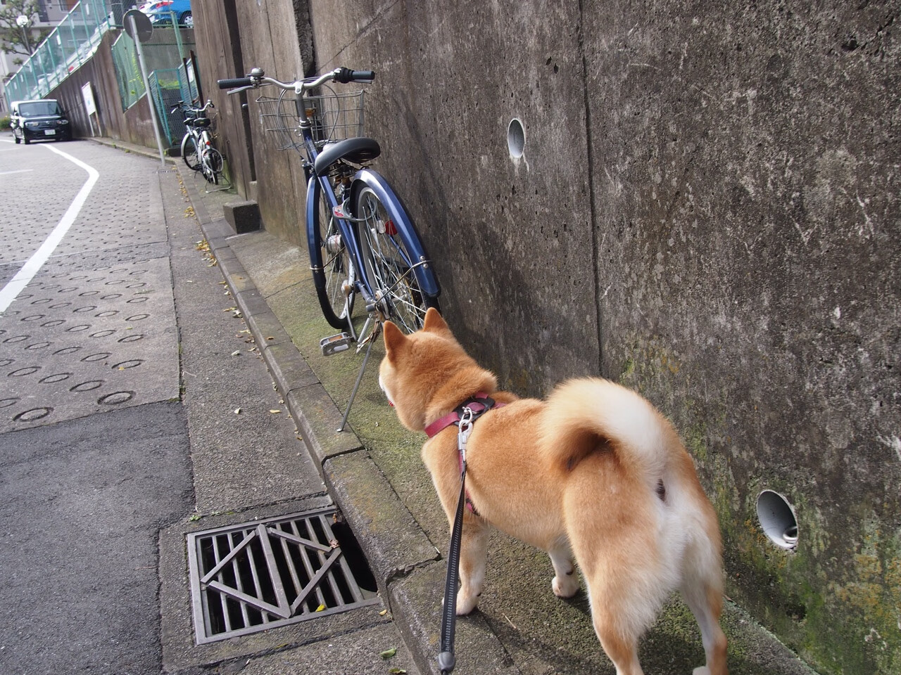 老鹰替补席贡献大幅提升成为关键支撑,老鹰队的比赛