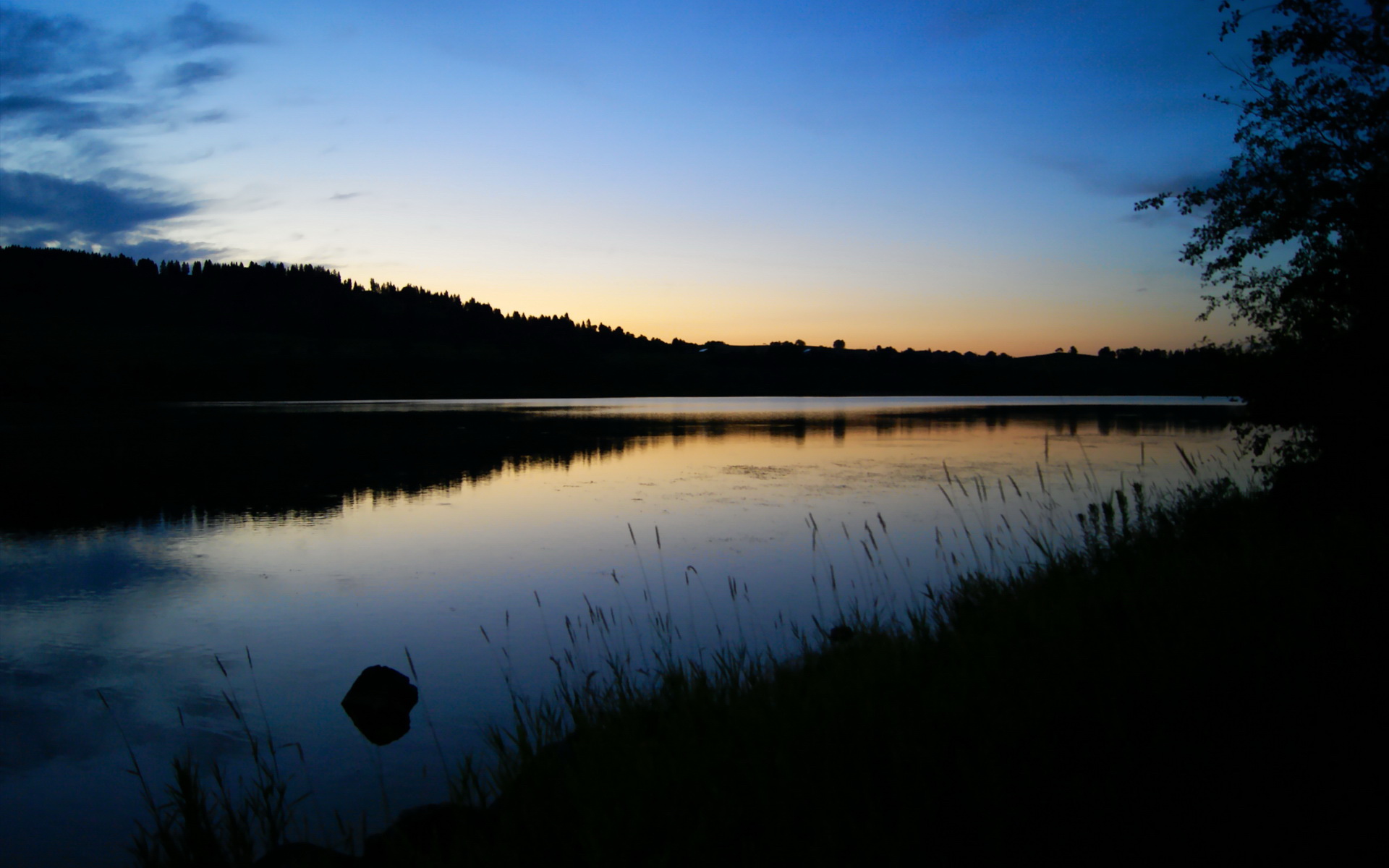 非洲国家杯淘汰赛全面展开,黑马球队崭露头角,非洲国家杯预选赛